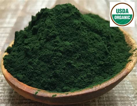 ORGANIC CHLORELLA Chlorella Powder chlorella vulgaris | Etsy