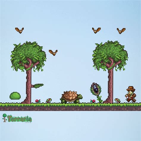 Tổ chức tiệc decorations terraria với những ý tưởng trang trí độc đáo