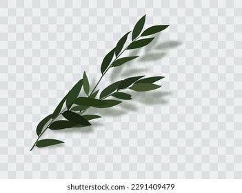 Tree Branch Green Leaves Over White Stock Vector (Royalty Free) 2291409479 | Shutterstock