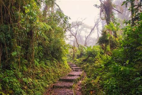 Santa Elena Cloud Forest: a fairytale hike in Costa Rica | Atlas & Boots