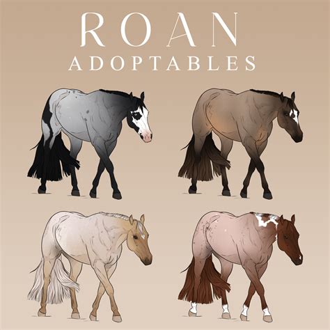 Roan Adoptables SOLD by Beyond-The-Embers on DeviantArt