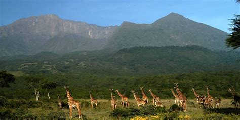 Arusha National Park | Best Day Trip, Safari Tours