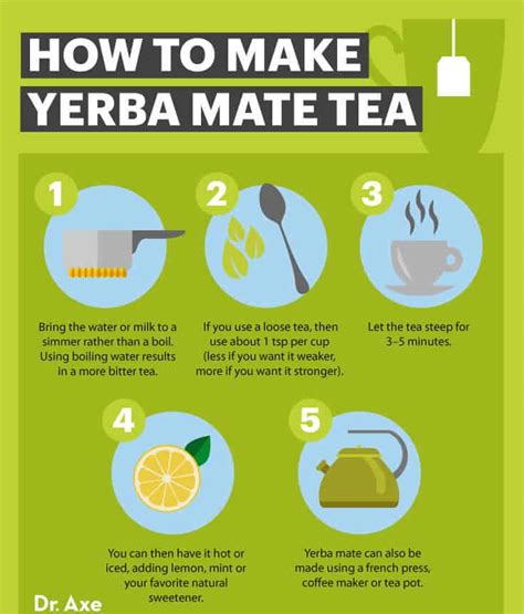 Yerba Mate Benefits, How to Make and Side Effects - Dr. Axe