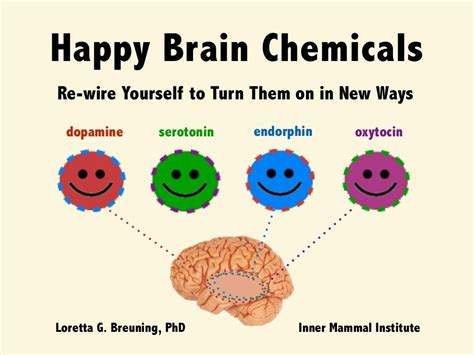 Happy brain chemicals: Dopamine, Serotonin, Oxytocin and Endorphin