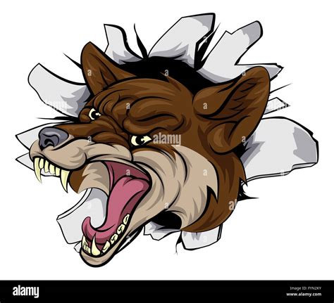 Coyote drawing hi-res stock photography and images - Alamy