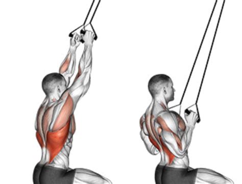 Lat Pulldown (band) - Learn the Benefits and Get Expert Tips