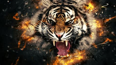 Tiger Roar Wallpaper Desktop