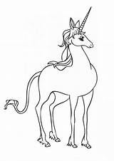 Magical Unicorn Cute Easy Coloring Pages  We Have Got You Some sketch template
