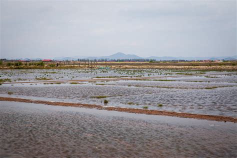 Salt Fields, Kampot: Everything You Should Know (2024) - Laure Wanders