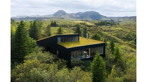 8 of the world's best forest homes - BBC Culture