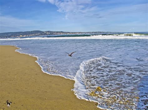 Seaside Beach California Photograph by Joyce Dickens - Fine Art America