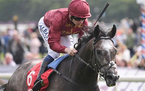 7 things you need to know about the newly crowned Cartier Horse of the Year - Horse & Hound