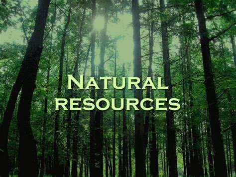 Natural resources