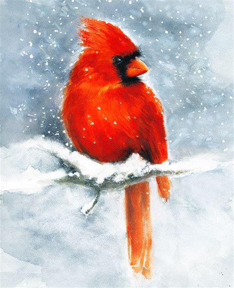 Cardinal Watercolor Art Print. Winter Snow Red Bird Painting.