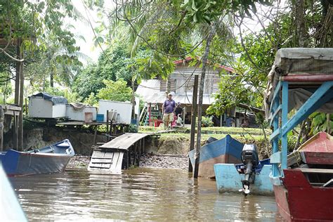 A visit to the Essequibo Islands - Guyana Chronicle