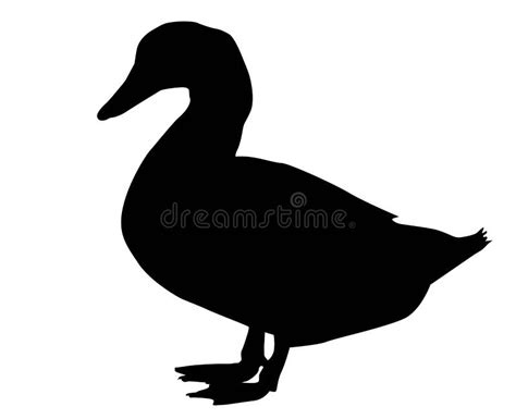 Duck Stock Illustrations – 66,554 Duck Stock Illustrations, Vectors & Clipart - Dreamstime