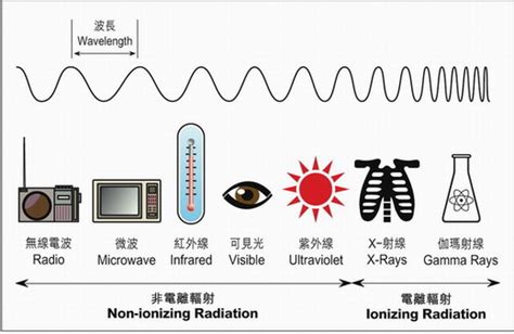 Microwave Cooking and Food Safety