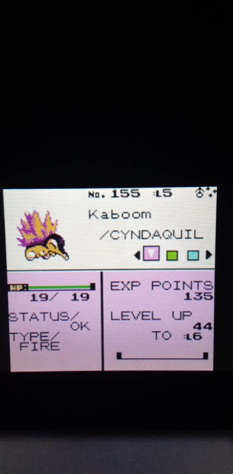 [Gen 2] First ever gen 2 shiny! I do not know how many resets since I ...