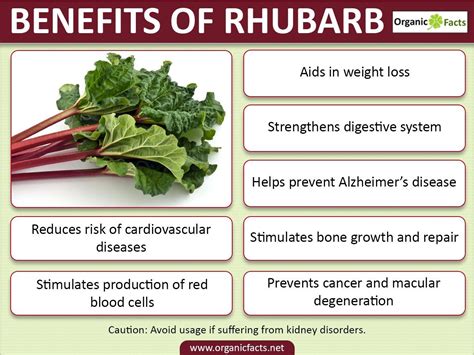 Benefits Of Rhubarb Juice - health benefits