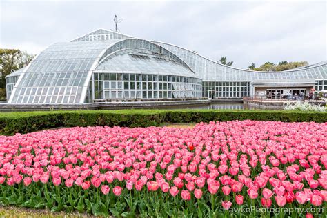 Kyoto Botanical Garden | Hawke Photography