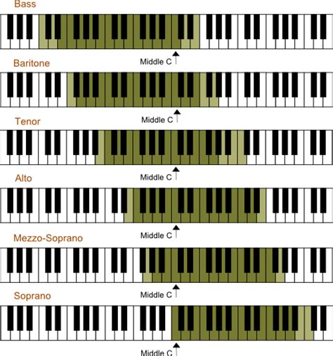 Understanding Vocal Range, Vocal Registers, and Voice Type: A Glossary ...