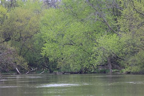 Tranquil Waters Photograph by Lurquin Studios - Fine Art America