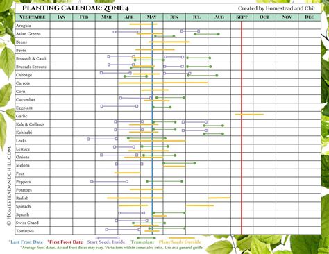 When to Start Seeds: Garden Planting Calendars for Every Zone – Gardzen