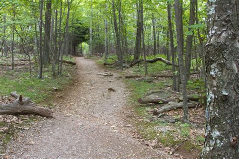 15 Easy Hikes in Shenandoah National Park (With Trail Maps) - Amateur ...