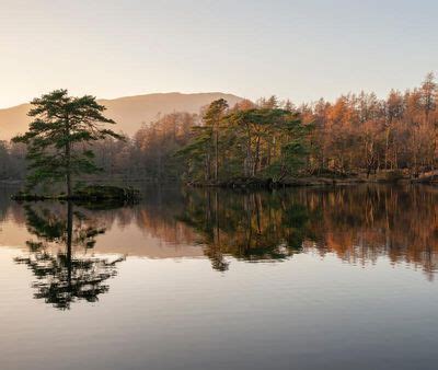 8 of the Best Windermere Walks To Enjoy Around Lake Windermere