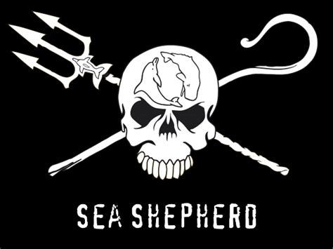 Sea-shepherd-logo • Puffin Digital