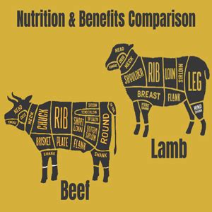 Beef vs. Lamb: Unveiling the Nutritional Battle - Discover the Secret ...