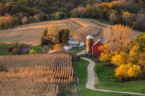 Iowa Farmscape harvest season corn fields farming