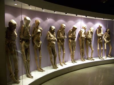 A Picture's Worth A Thousand Words...: A Trip To The Mummy Museum