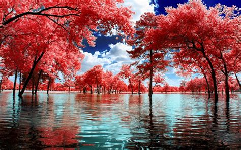 nature, Landscape, Surreal, Trees, Water, Park, Clouds, Pink, White, Blue Wallpapers HD ...