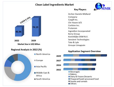 Clean Label Ingredients Market - Growth, Applications and Forecast 2029