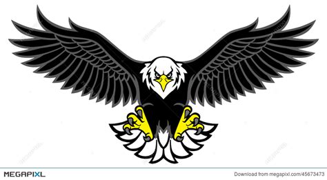 Eagle Face Vector at GetDrawings | Free download