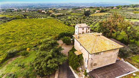 Bird's eye view of our winery and vineyard in Frascati at The Old Frascati Wine Tour | Wine tour ...