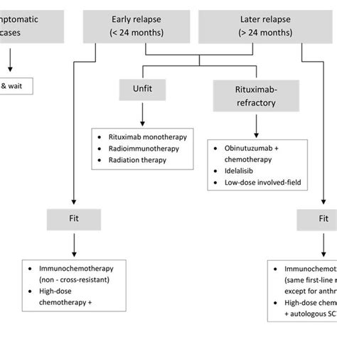 (PDF) Diagnosis and treatment of follicular lymphoma: An update