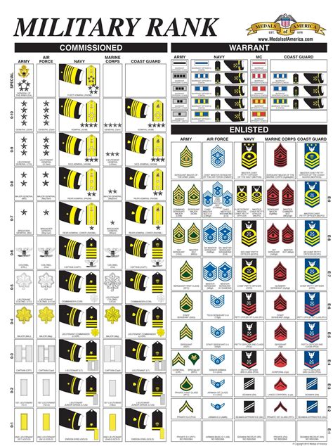 √ Us Army Rank Timeline - Na Gear