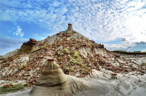 Dinosaur Provincial Park - Why You Should Visit