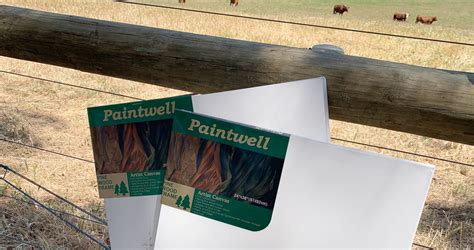 Bulk Cheap Canvases - Paintwell - Art Materials Australia