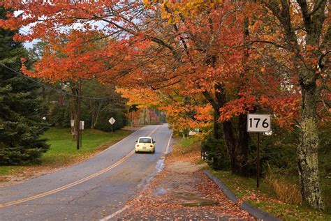 Maine Fall Foliage 2024 - Rove.me