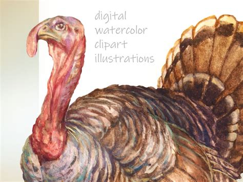 Animals of North America Clipart, Digital Watercolor Illustration, Animal Clip Art, Hand-painted ...