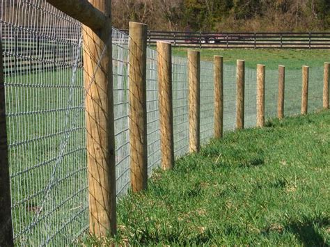 Maryland Horse Fencing | Backyard fences, No climb horse fence, Cheap fence