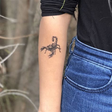 Black Scorpion Temporary Tattoo | EasyTatt™