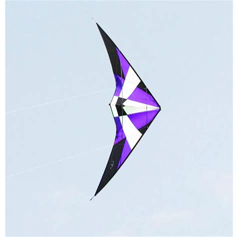 free shipping Power Professional Dual Line Stunt Kite flying outdoor ...