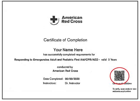 Submitting American Red Cross Courses:Certification:OTI:NYSED