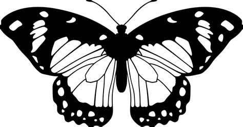 Free Butterfly Images Black And White, Download Free Butterfly Images ...