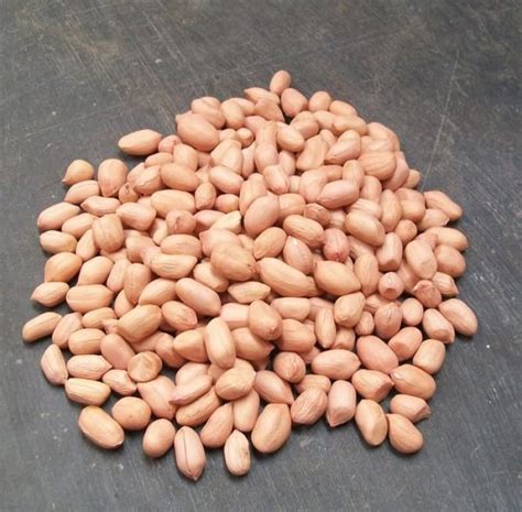 Peanut (Kacang Tanah) 500g - DeGrocery.com