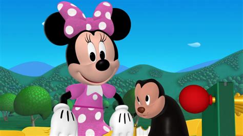 Pluto's Playmate (Mickey Mouse Clubhouse episode) | Disney Wiki ...